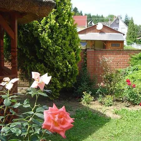 Rubin Apartment